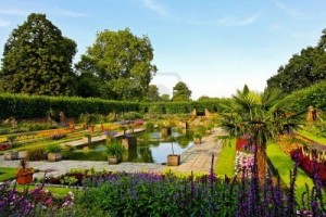 botanic garden